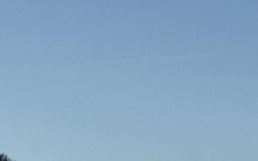 Wohnung 3.5 Zimmer - image - 7