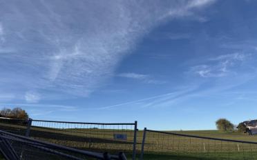 Wohnung 3.5 Zimmer - image - 10