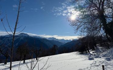 Terrace flat 5.5 rooms - image - 10