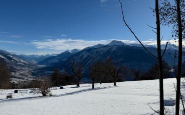 Terrace flat 5.5 rooms - image - 2