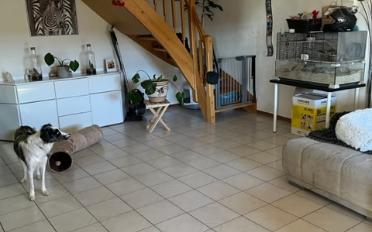 Duplex 4.5 rooms - image - 2