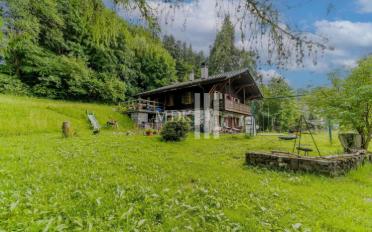 Chalet 5 rooms - image - 1