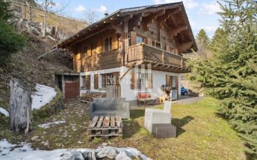 Chalet 4.5 pièces - image - 1