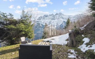 Chalet 4.5 pièces - image - 3