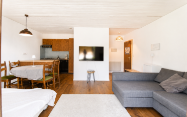 Apartment 1 room - image - 4