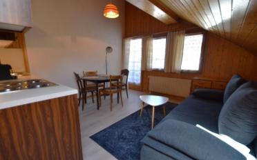 Furnished flat 2.5 rooms - image - 1