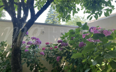 Single house 7 rooms - image - 12
