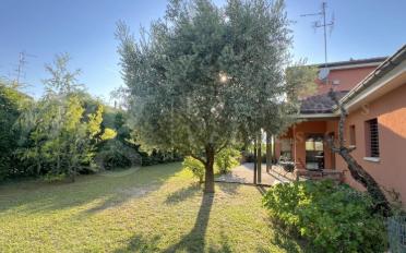 Single house 7 rooms - image - 5