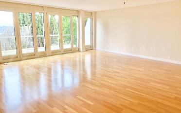 Single house 10 rooms - image - 7