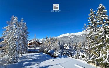 Chalet 8.5 rooms - image - 3