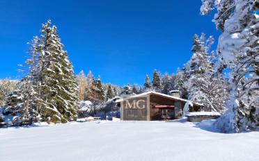 Chalet 8.5 Zimmer - image - 3