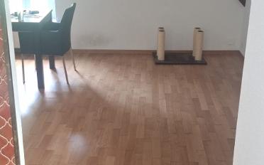 Appartement 1.5 pièces - image - 1