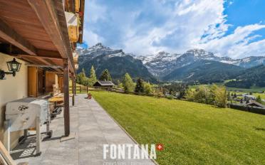 Chalet 19 rooms - image - 3
