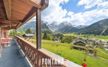 Chalet 19 rooms - image - 2