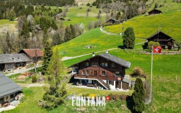 Chalet 7 rooms - image - 1