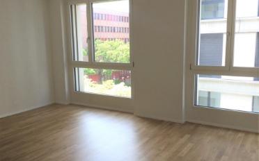 Wohnung 2.5 Zimmer - image - 8