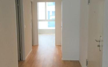 Wohnung 2.5 Zimmer - image - 6