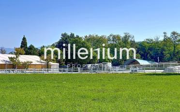 Apartment 5 rooms - image - 2