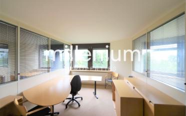 Office 1 room - image - 1