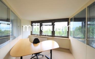 Office 1 room - image - 7