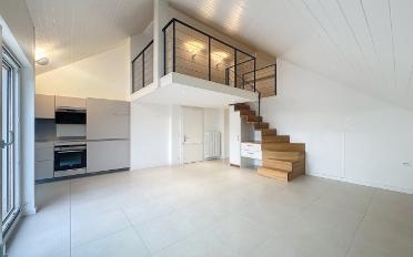 Wohnung 3.5 Zimmer - image - 1