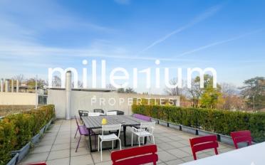 Loft 4 rooms - image - 2