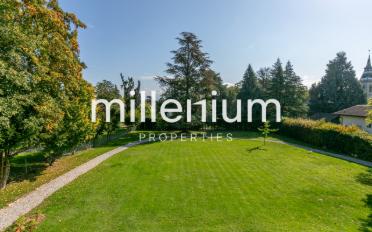 Single house 7 rooms - image - 3