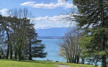 Single house 7 rooms - image - 1