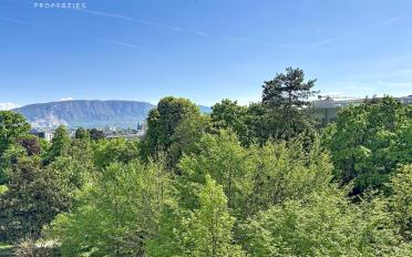 Wohnung 4 Zimmer - image - 4