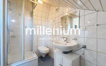 Single house 5 rooms - image - 10