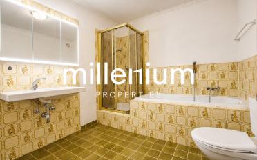 Single house 10 rooms - image - 11