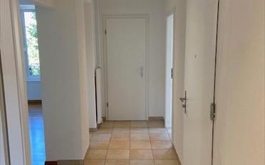 Appartement 3.5 pièces - image - 3