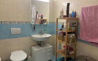Wohnung 3.5 Zimmer - image - 5