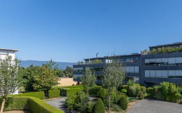 Wohnung 4 Zimmer - image - 6