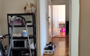 Wohnung 3.5 Zimmer - image - 3