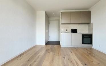 Apartment 1 room - image - 3