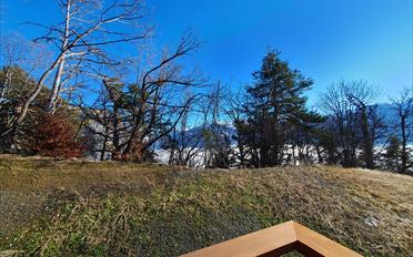 Wohnung 2.5 Zimmer - image - 3