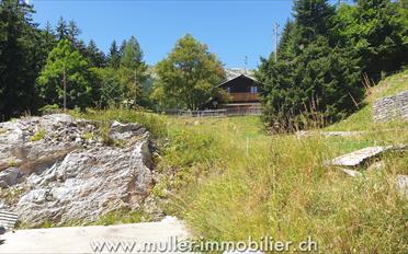 Building land - image - 1