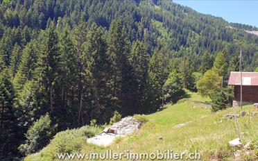 Building land - image - 2