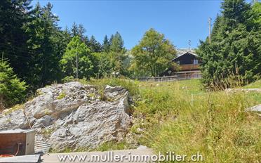 Building land - image - 9