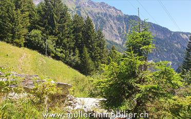 Building land - image - 8