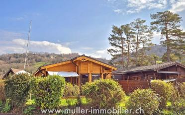 Doppeleinfamilienhaus 3.5 Zimmer - image - 10