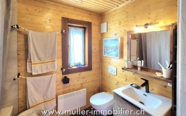 Doppeleinfamilienhaus 3.5 Zimmer - image - 3