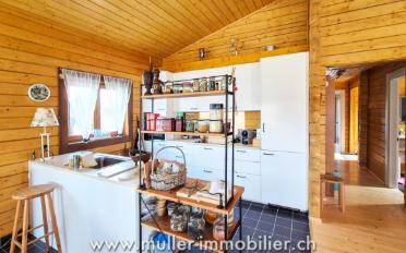 Doppeleinfamilienhaus 3.5 Zimmer - image - 9