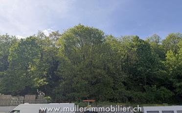 Wohnung 3.5 Zimmer - image - 9