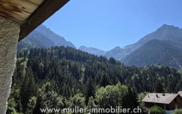 Chalet 8.5 pièces - image - 8