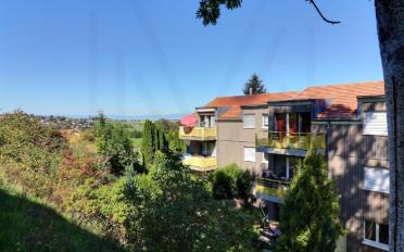 Wohnung 4.5 Zimmer - image - 2