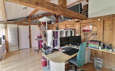 Immeuble mixte 10 pièces - image - 3
