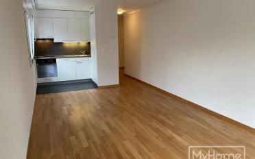 Wohnung 1.5 Zimmer - image - 1