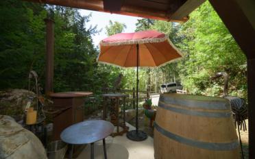 Chalet 1 room - image - 8